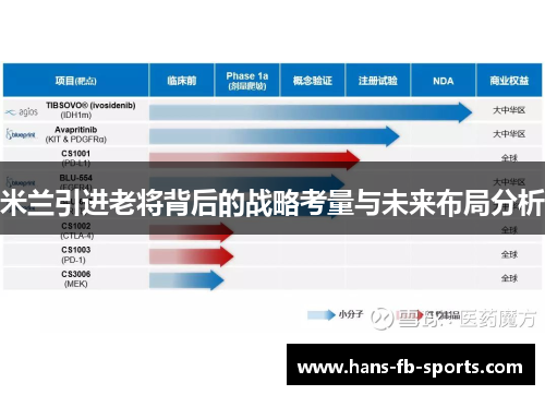 米兰引进老将背后的战略考量与未来布局分析