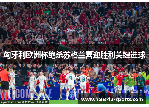 匈牙利欧洲杯绝杀苏格兰喜迎胜利关键进球 匈牙利欧洲杯绝杀苏格兰喜迎胜利关键进球